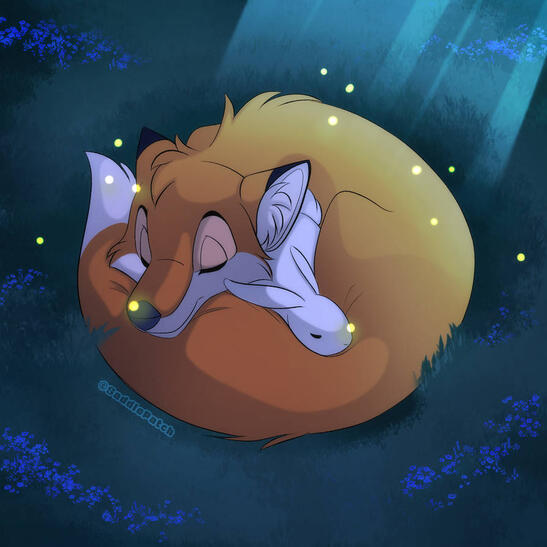 Fox and bunny sleeping at night