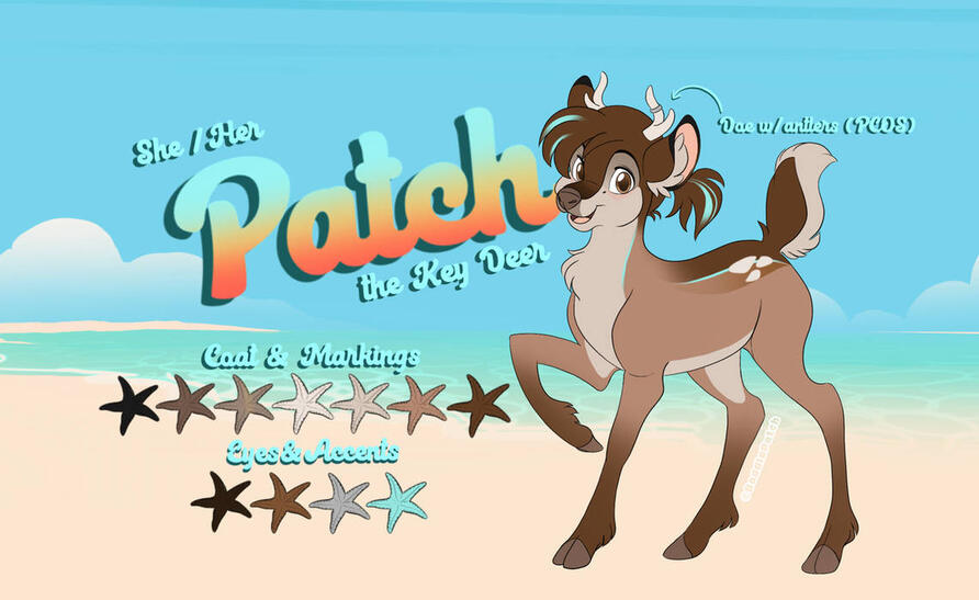 Deer reference sheet